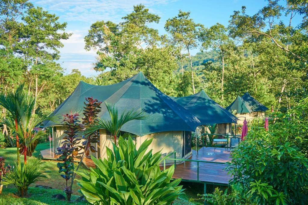 Bed and Breakfast Manoas Uvita Esterno foto